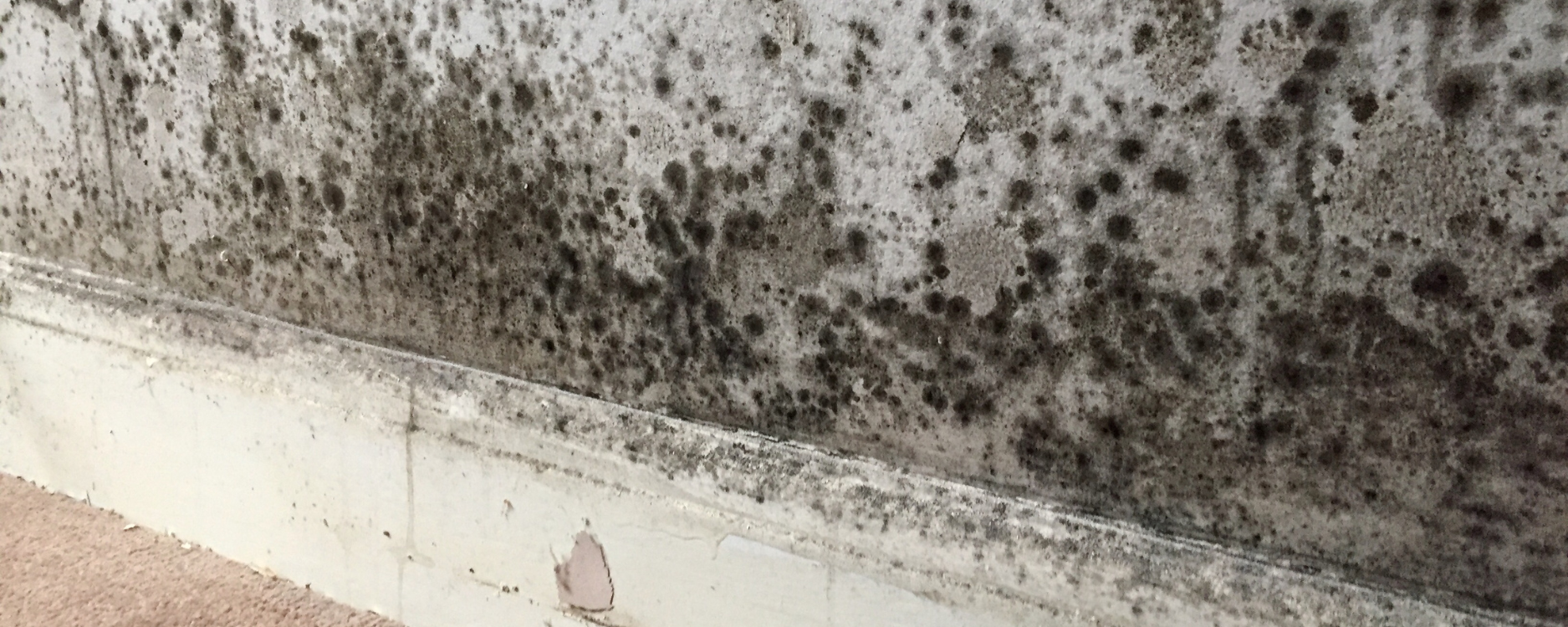 <strong>How To Prevent Mould From Growing In Humid Environments</strong>