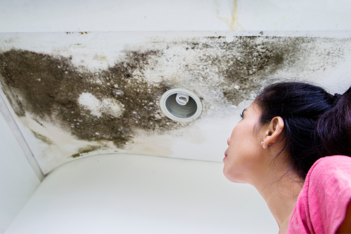 Mould Health Dangers