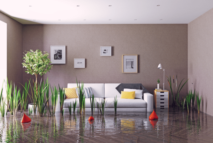 Top 10 Flood Recovery Equipment For Drying And dehumidifying Rooms