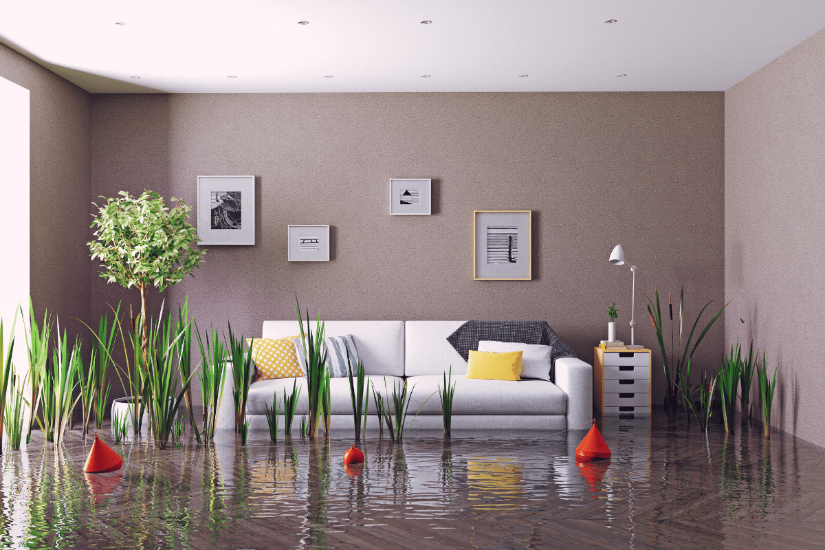 Top 10 Flood Recovery Equipment For Drying And dehumidifying Rooms