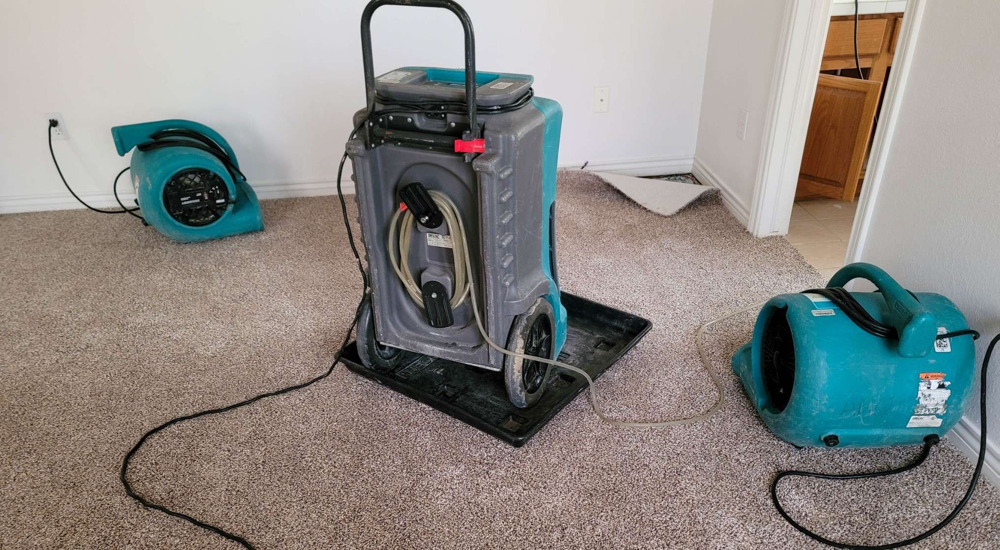 Portable Water Damage Equipment: Perfect for Home Use