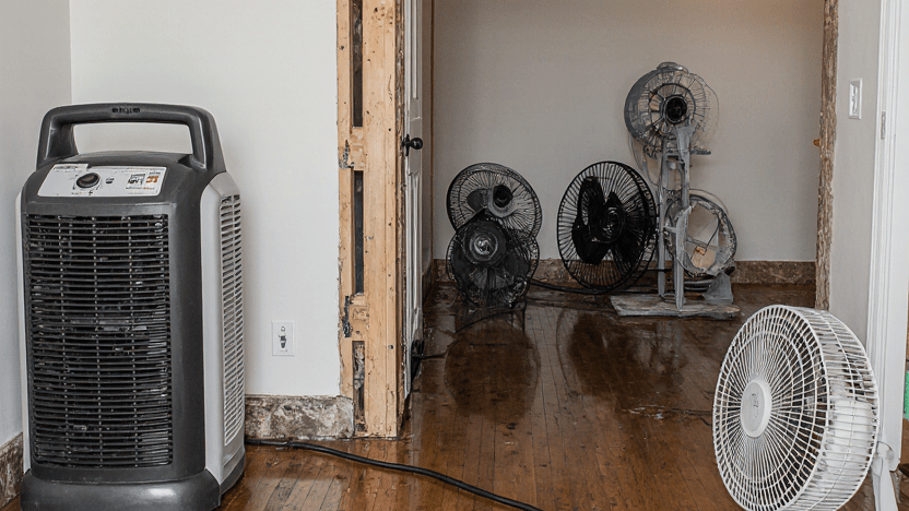 Why You Need A Dehumidifier After Water Damage